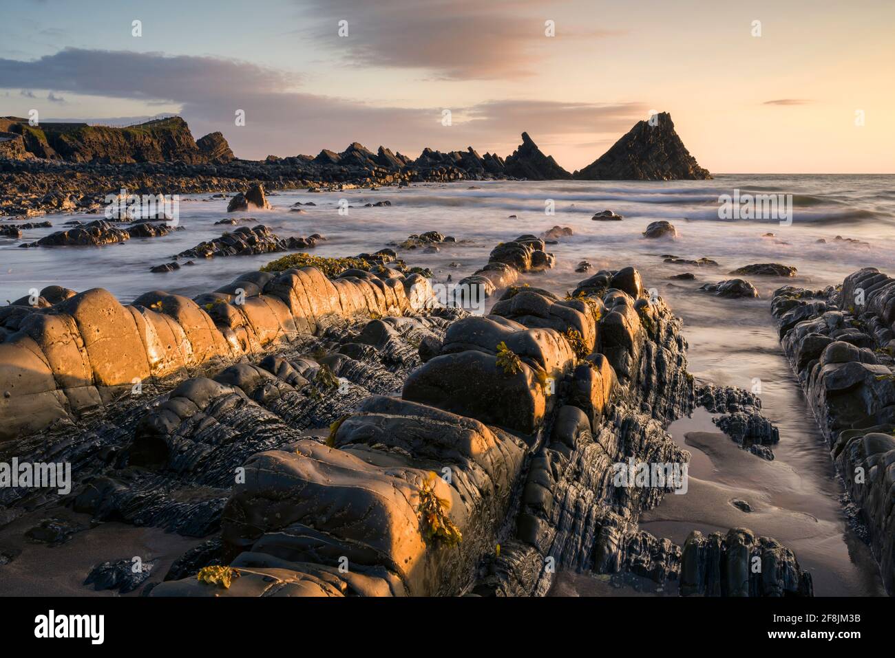 La plage exposée à marée basse à Hartland Quay dans le North Devon Coast National Landscape au coucher du soleil, Angleterre. Banque D'Images