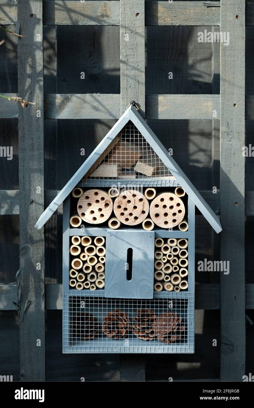 Un hôtel d'insectes, une maison d'insectes ou un hôtel d'insectes accroché dans un jardin de maison. La structure faite par l'homme fournit un abri pour les insectes, y compris les abeilles solitaires Banque D'Images