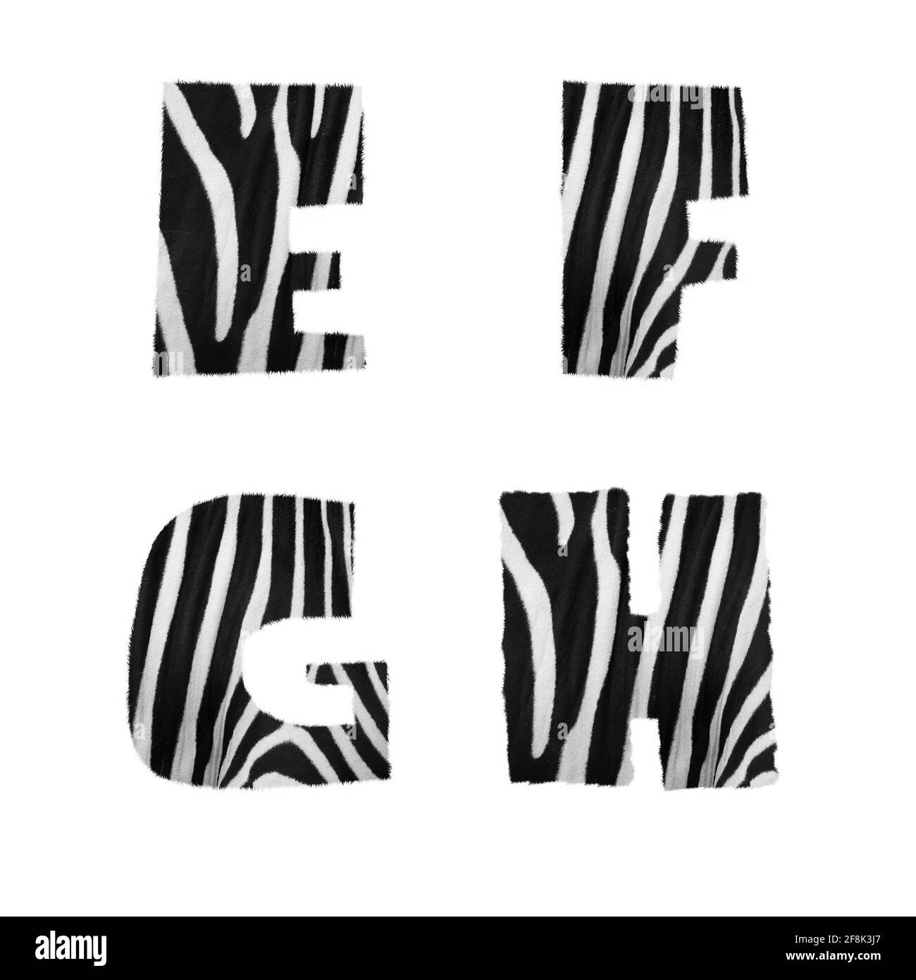Rendu 3D de l'alphabet zébré en fourrure - lettres E-H. Banque D'Images