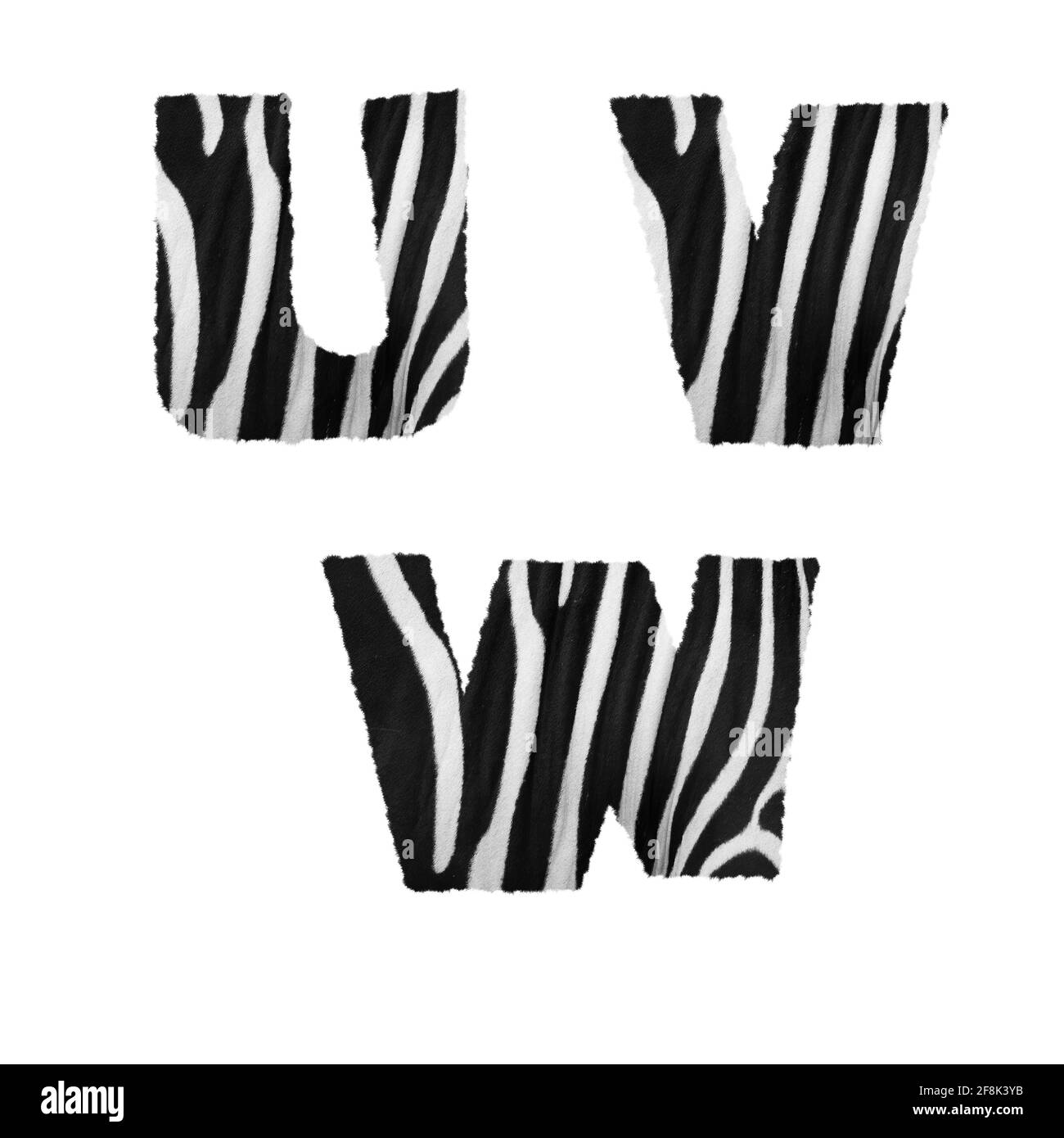 Rendu 3D de l'alphabet zébré en fourrure - lettres U-W. Banque D'Images