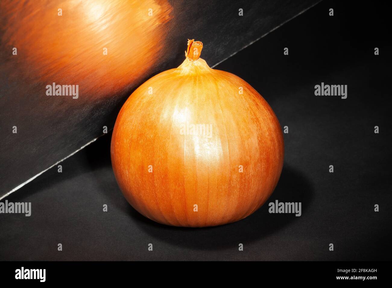 un oignon sur fond noir Banque D'Images