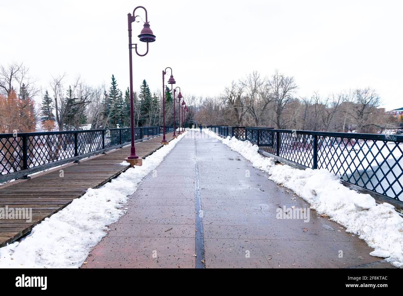 Hivernent le long du sentier de Calgary Elbow River, 1er. Et Elbow River SW, Calgary Alberta, Canada Banque D'Images