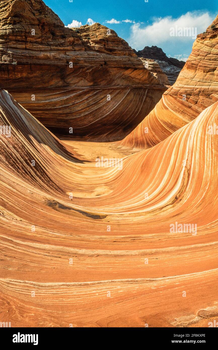 La vague est une formation de grès striée dans les buttes de Coyote Nord, dans la région sauvage de Paria Canyon-Vermilion Cliffs, dans le monument national de Vermilion Cliffs, à Arizo Banque D'Images