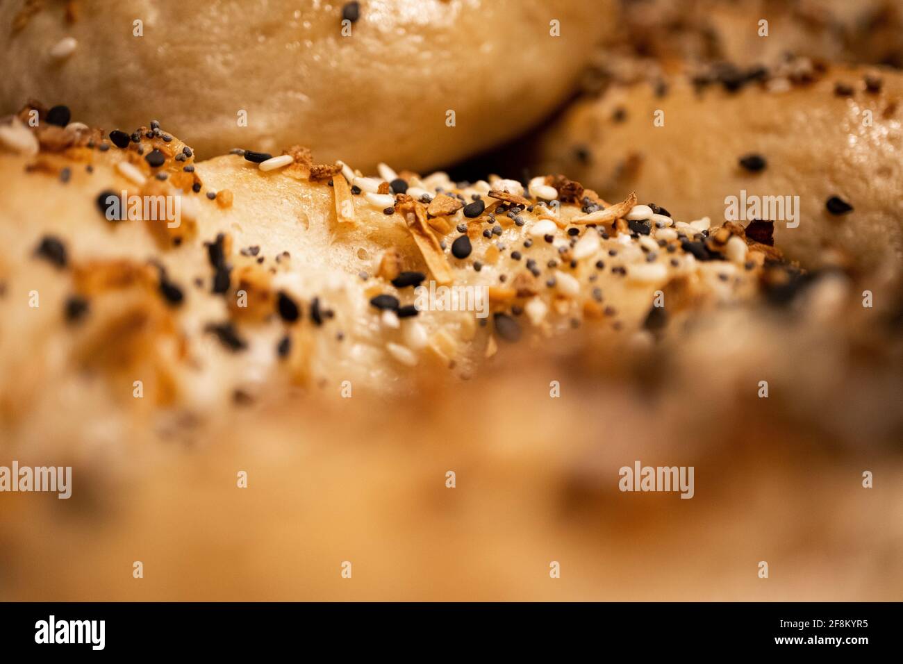 Photo macro de tout bagel avec bagel défocus au premier plan Banque D'Images