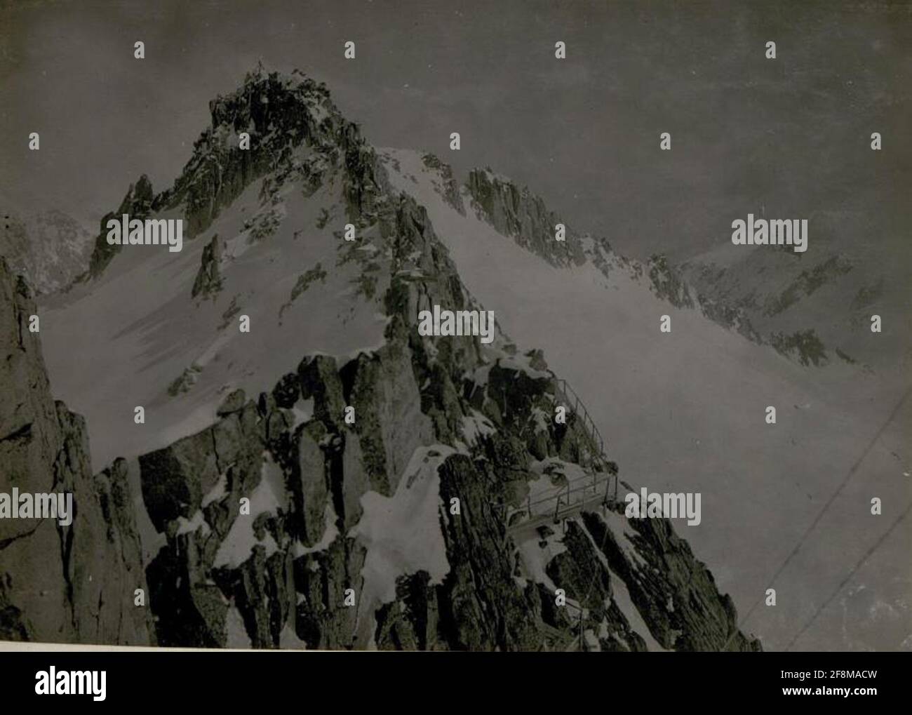 Les plantes de la voie sur COP di Casa. . Banque D'Images