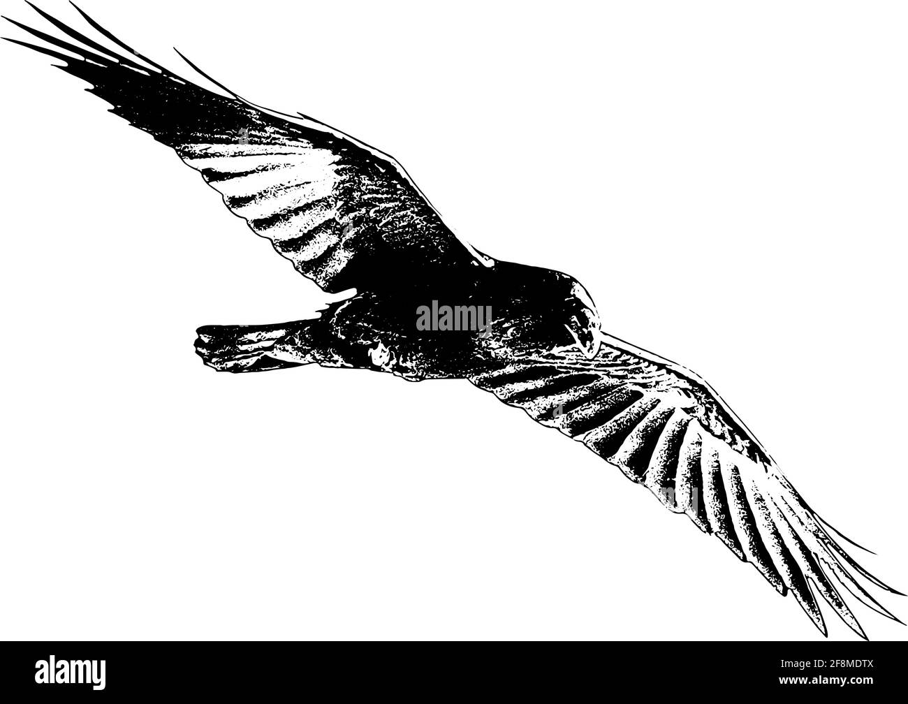 Illustration vectorielle Crow ou Raven en noir sur fond blanc Illustration de Vecteur