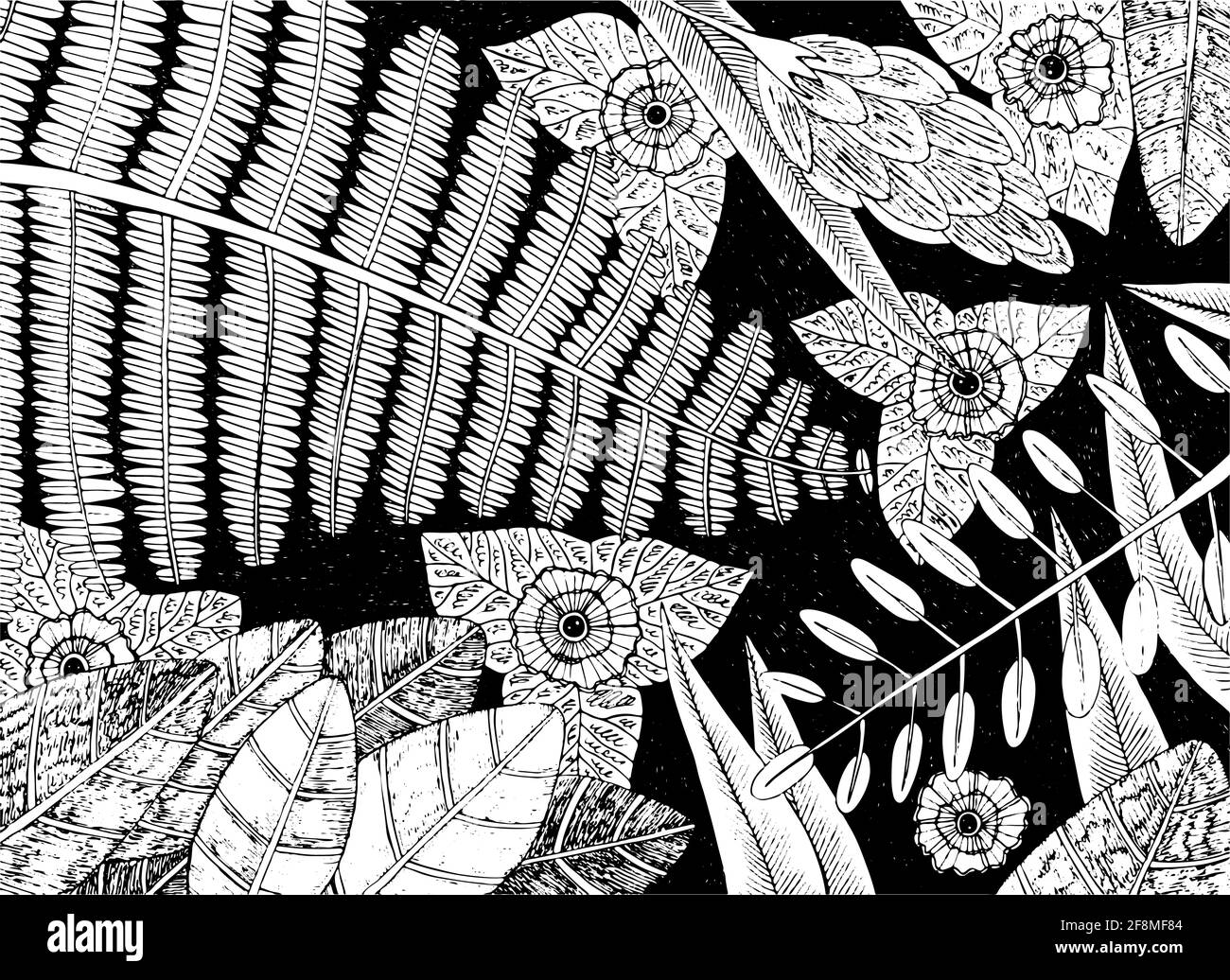 Plantes tropicales - dessin floral. Arrière-plan de fleurs de forêt tropicale. Feuilles et branches exotiques de la jungle. Illustration noir et blanc. Illustration vectorielle Illustration de Vecteur