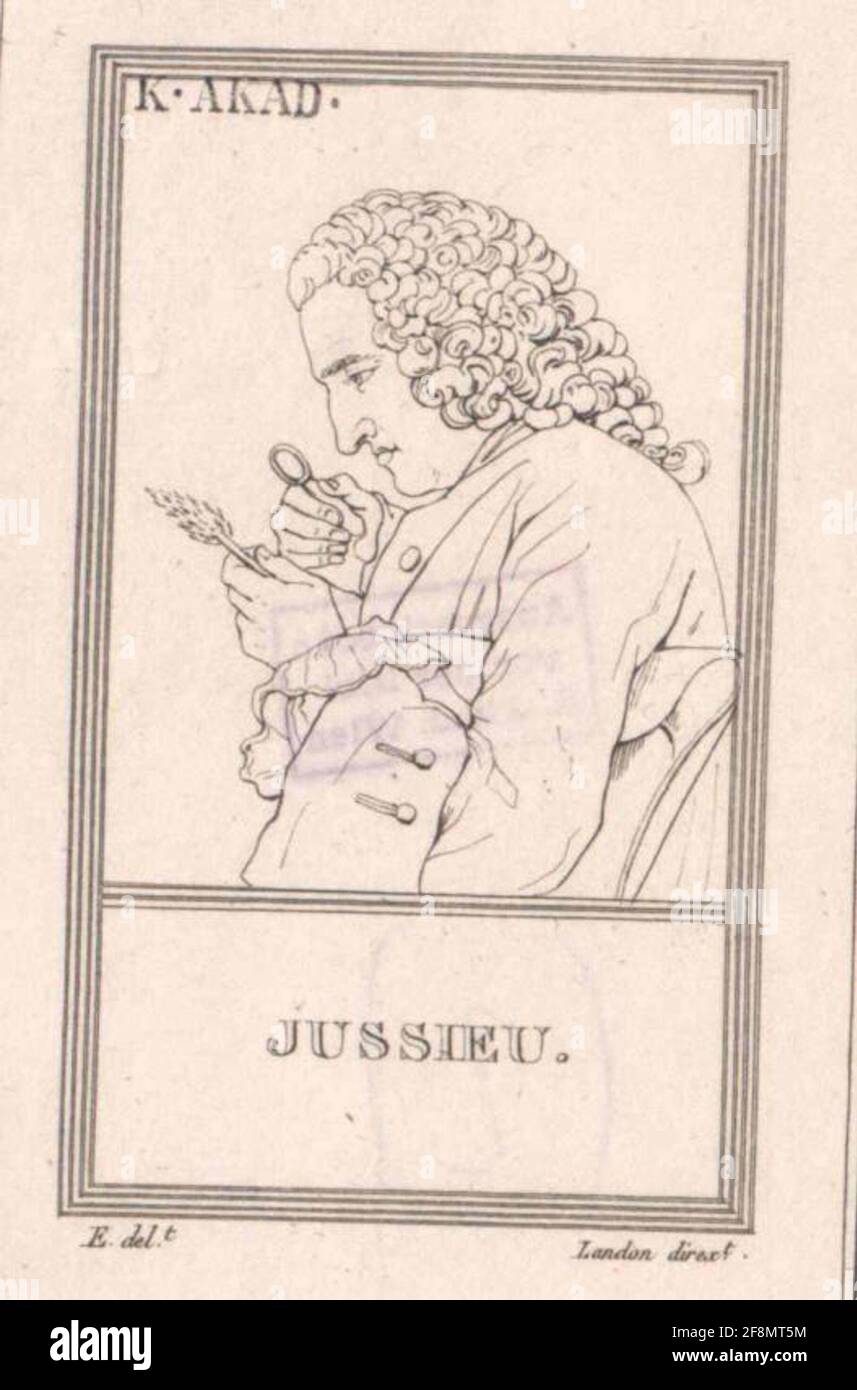 Jussieu, Bernard de. Banque D'Images