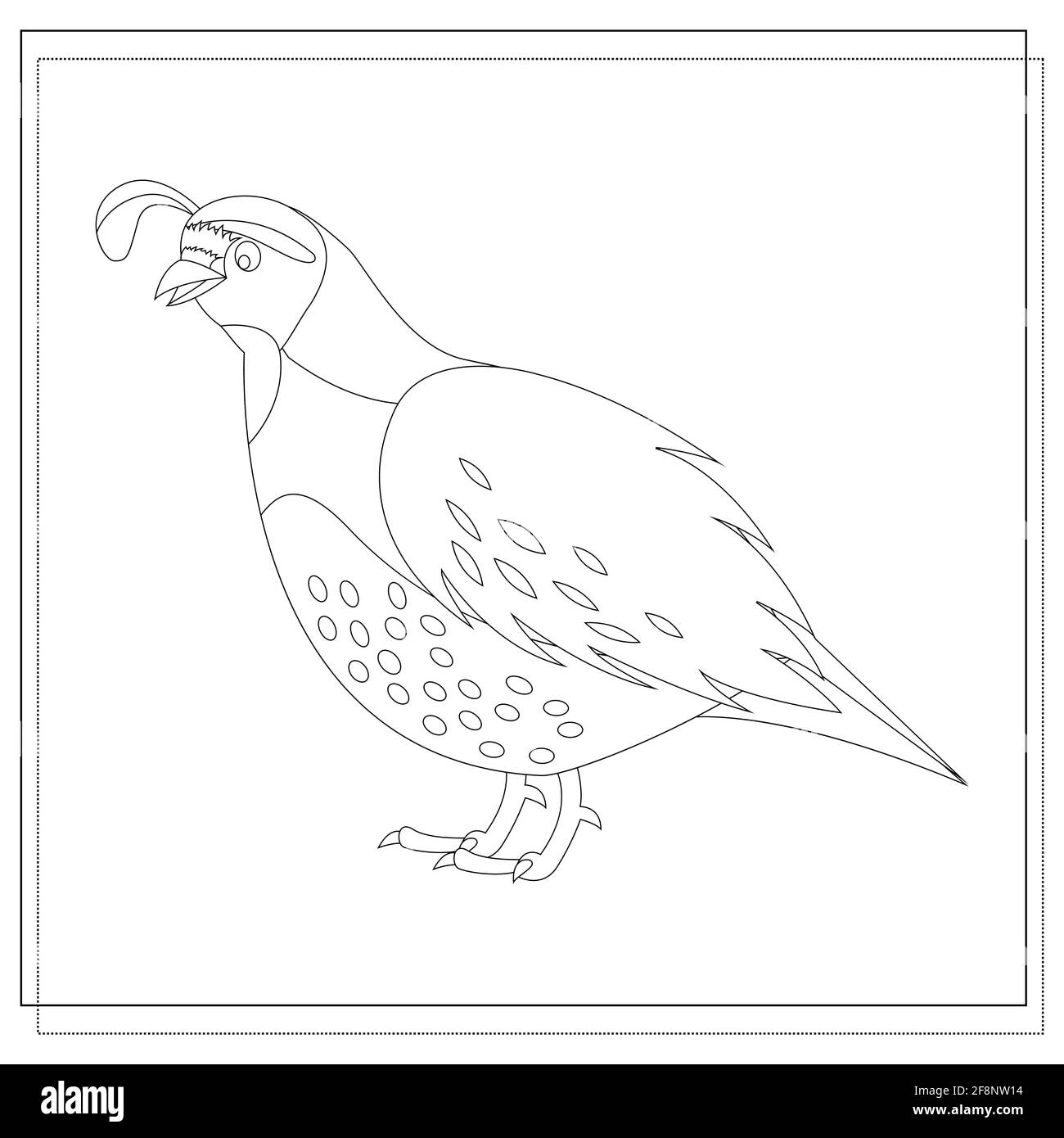 livre de coloriage pour enfants caille de dessin animé. vecteur isolé sur un fond blanc Illustration de Vecteur