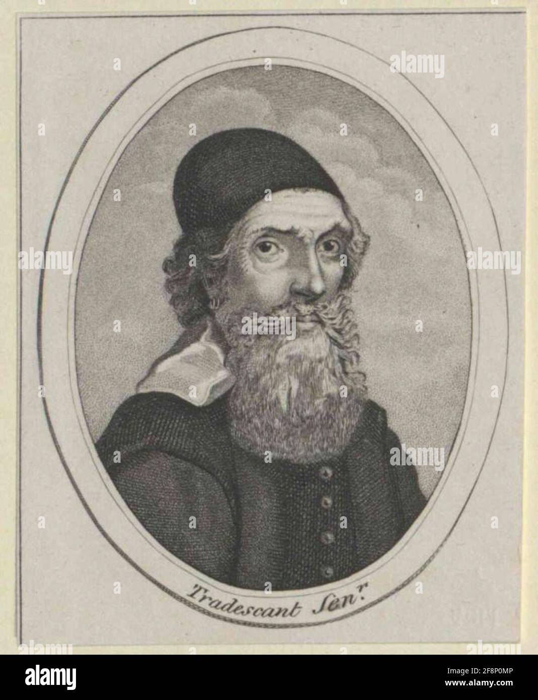 Tradescant, John . Banque D'Images