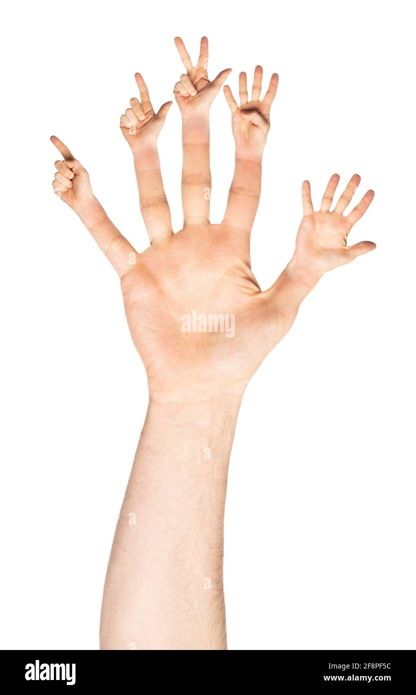 Main ouverte mâle avec doigts gestante de un à cinq, isolée sur fond blanc Banque D'Images