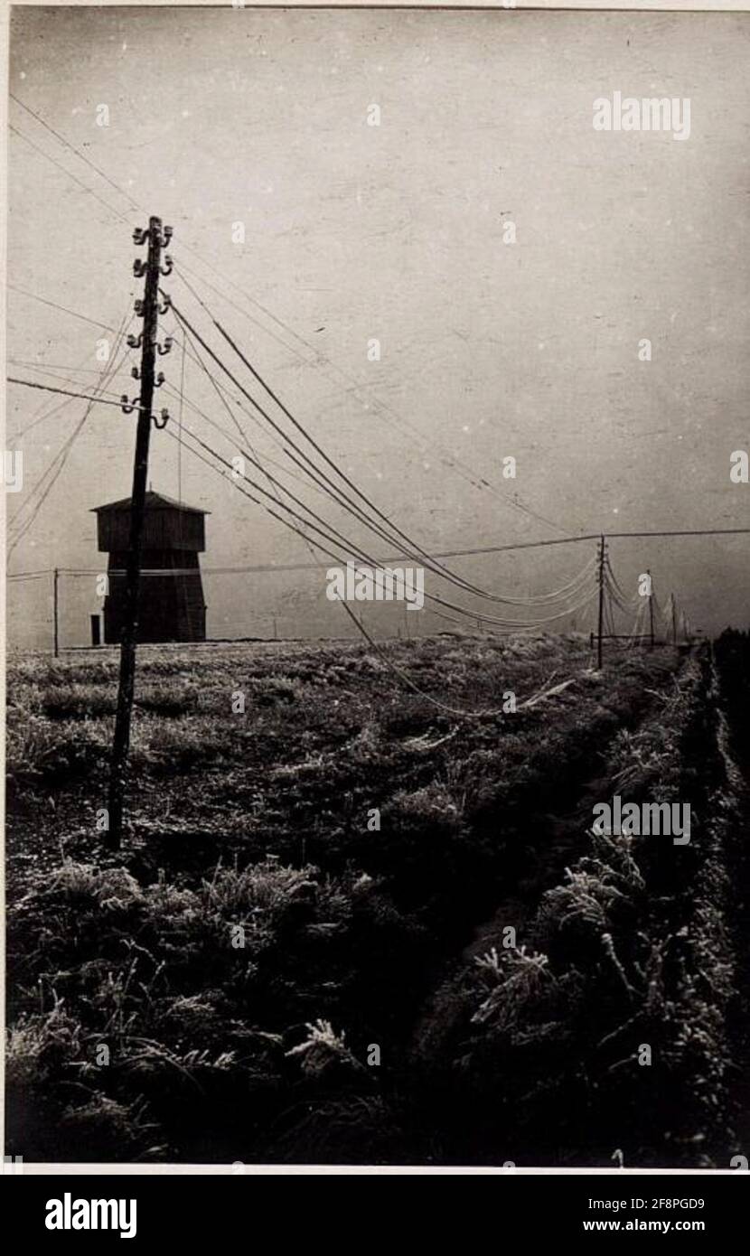 Harrid sur les fils télégraphiques de la ligne de chemin de fer. Banque D'Images