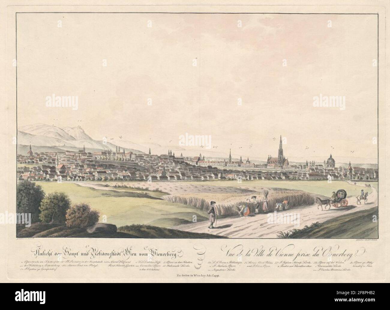 Vue sur la ville principale et la résidence de Vienne depuis Wienerberg. Vue de la ville de Vienne levier du Vienerberg. Banque D'Images