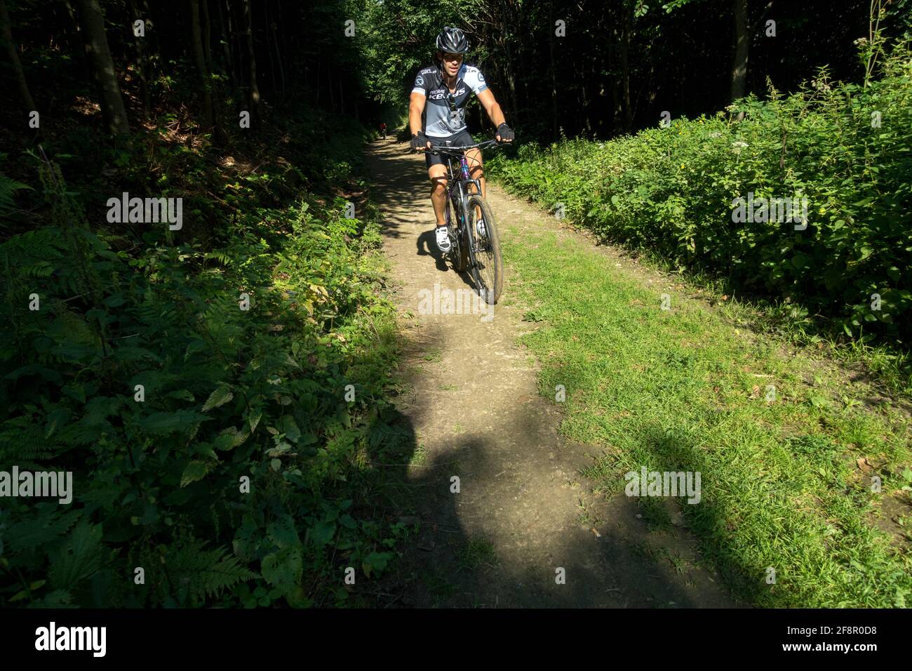 Homme faisant du vélo, motard sur un chemin routier forestier Banque D'Images