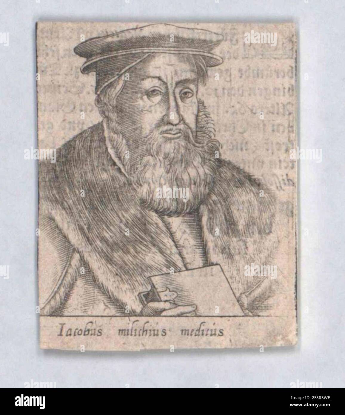 Milich, Jakob 1601/1700 Banque D'Images