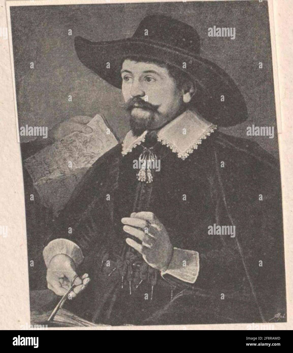 Tulipe, Nicolaas. Banque D'Images