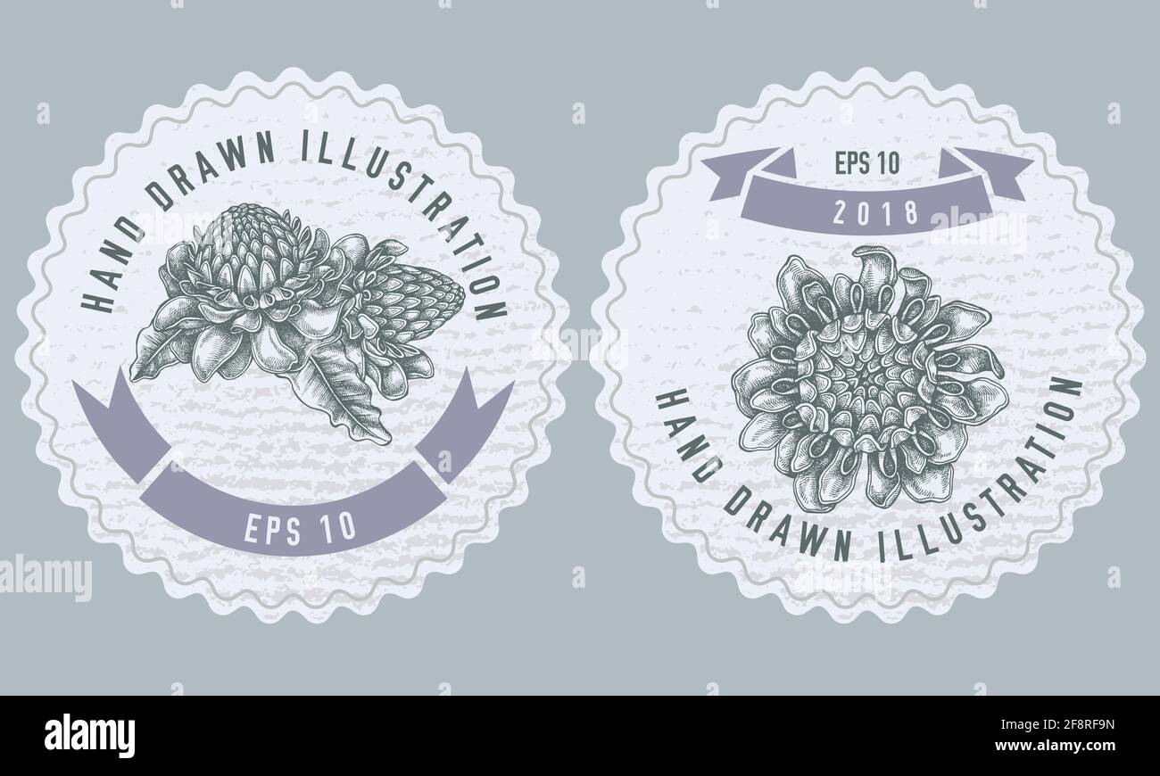 Étiquettes monochromes avec illustration de etlingera Illustration de Vecteur