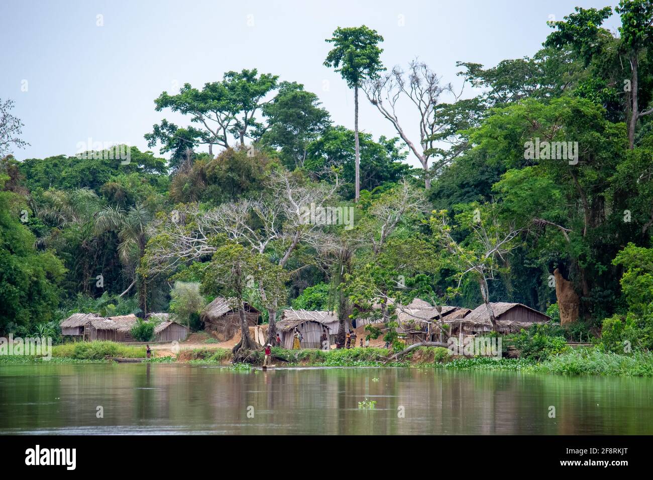 Village de la forêt tropicale, fleuve Congo, République démocratique du Congo Banque D'Images