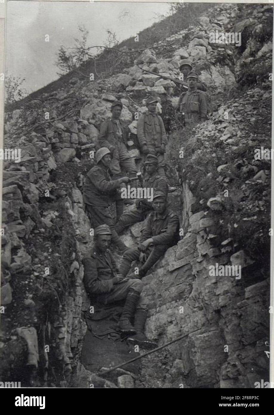 Protéger arbbing a.dis.isonfontront. 4.9.17. . Banque D'Images