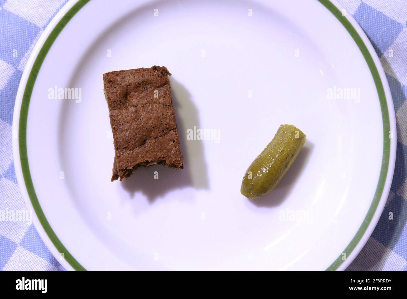 Concombre Cucumis Sativus Concombre Marine Et Un Morceau De Gateau Sur Une Assiette Photo Stock Alamy