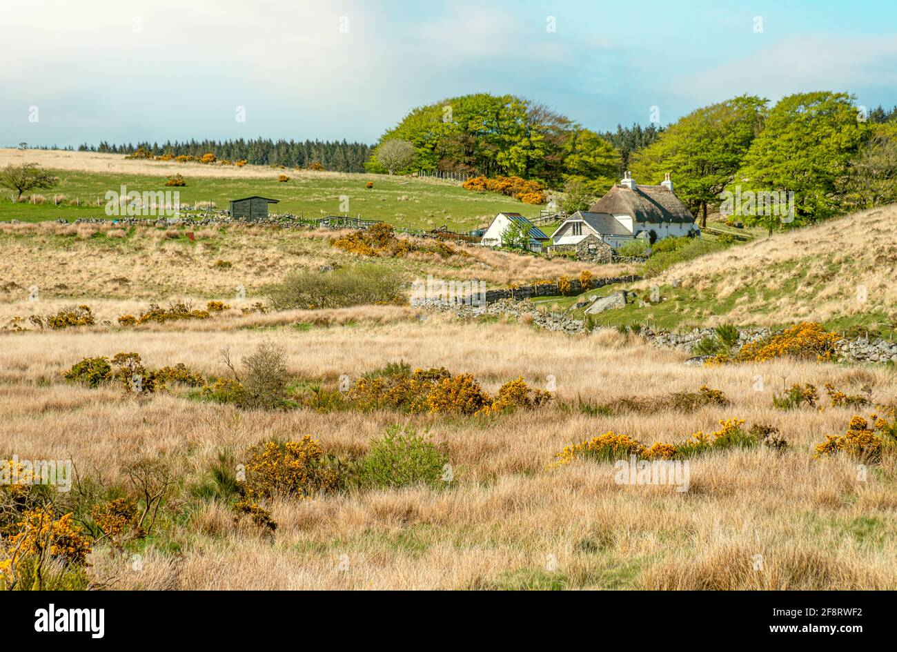 Ferme isolée au parc national de Dartmoor, Devon, Angleterre, Royaume-Uni Banque D'Images