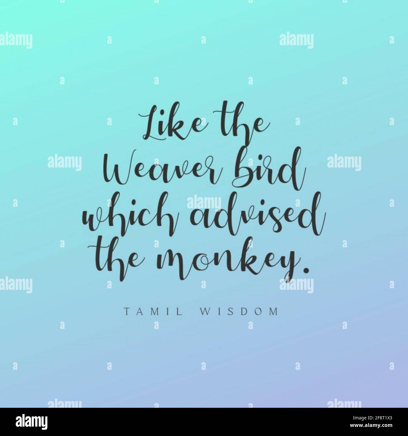 Une citation de sagesse tamoule - 'comme l'oiseau tisserand qui conseillé au singe sur un fond bleu clair Banque D'Images
