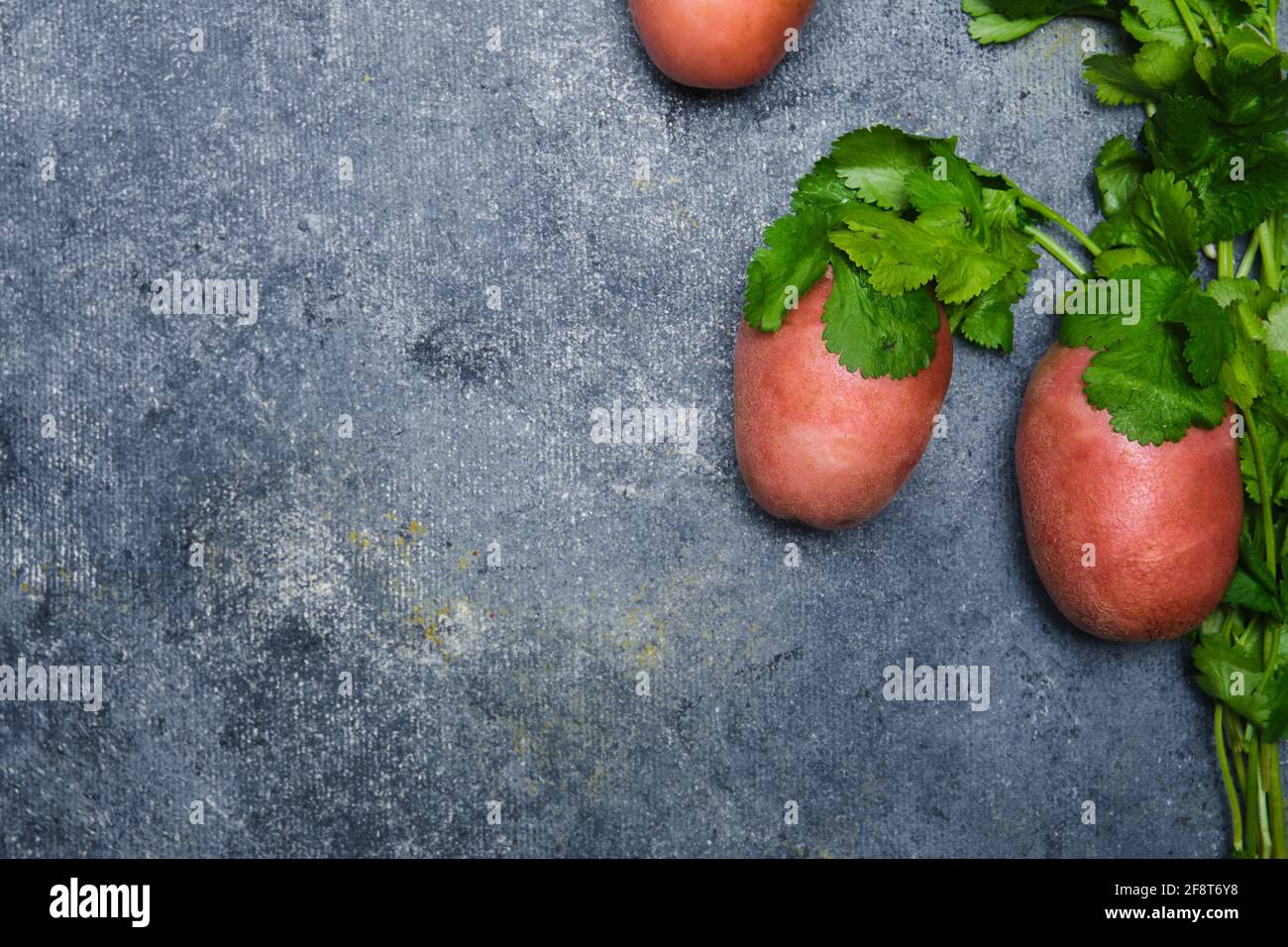 Navet, coriandre, pommes de terre, carottes et oignons rouges sur fond sombre Banque D'Images