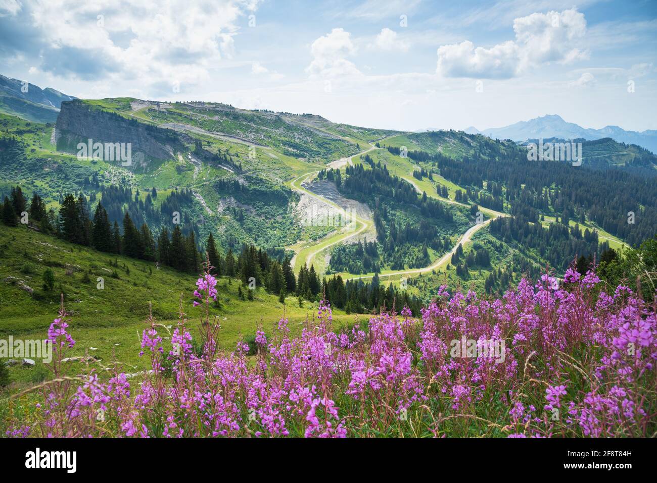 Morzine Summer Banque De Photographies Et D’images à Haute Résolution ...