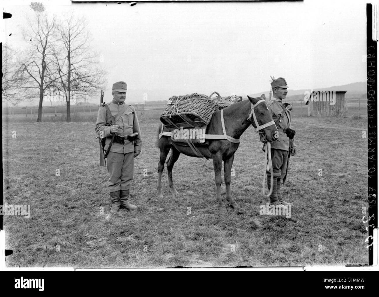 Emballer un animal transportant des explosifs d'une section technique de l'infanterie probablement près de Villach; photographe: 10. Armeekommando (Rohr). Banque D'Images Emballer un animal transportant des explosifs d'une section technique de l'infanterie probablement près de Villach; photographe: 10. Armeekommando (Rohr). Banque D'Images