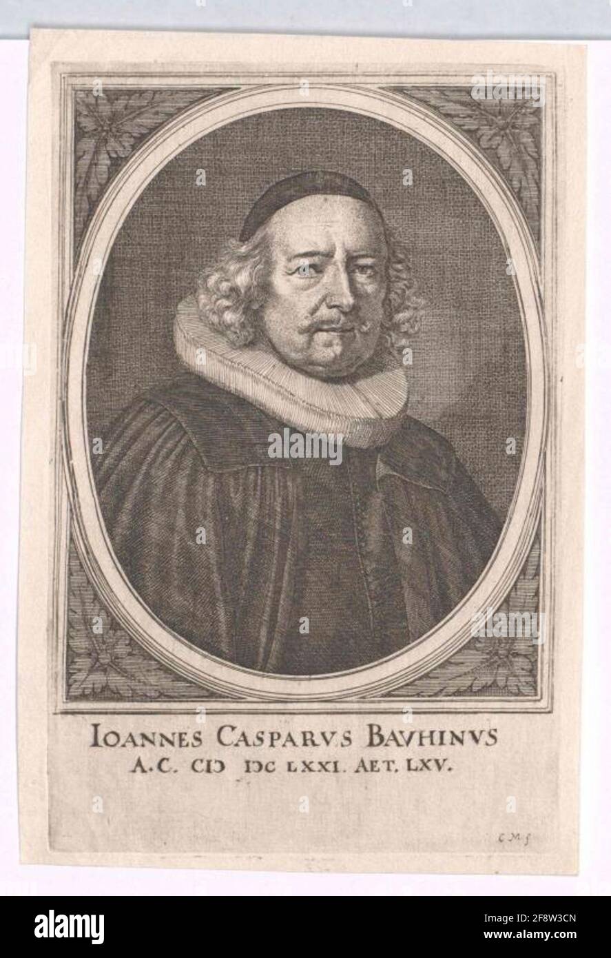 Bauhin, Johann Kaspar . Banque D'Images