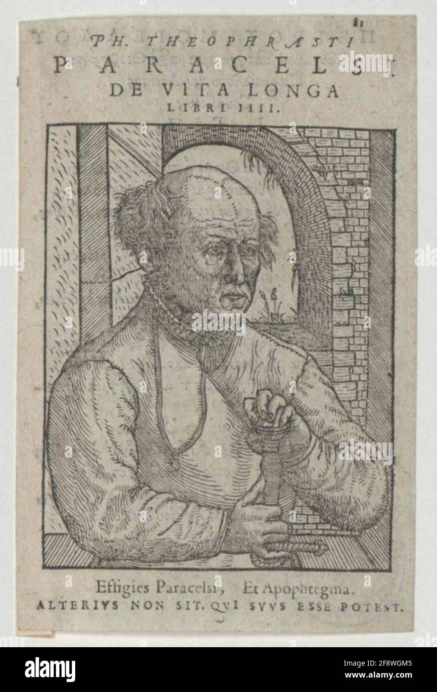 Paracelse . Banque D'Images