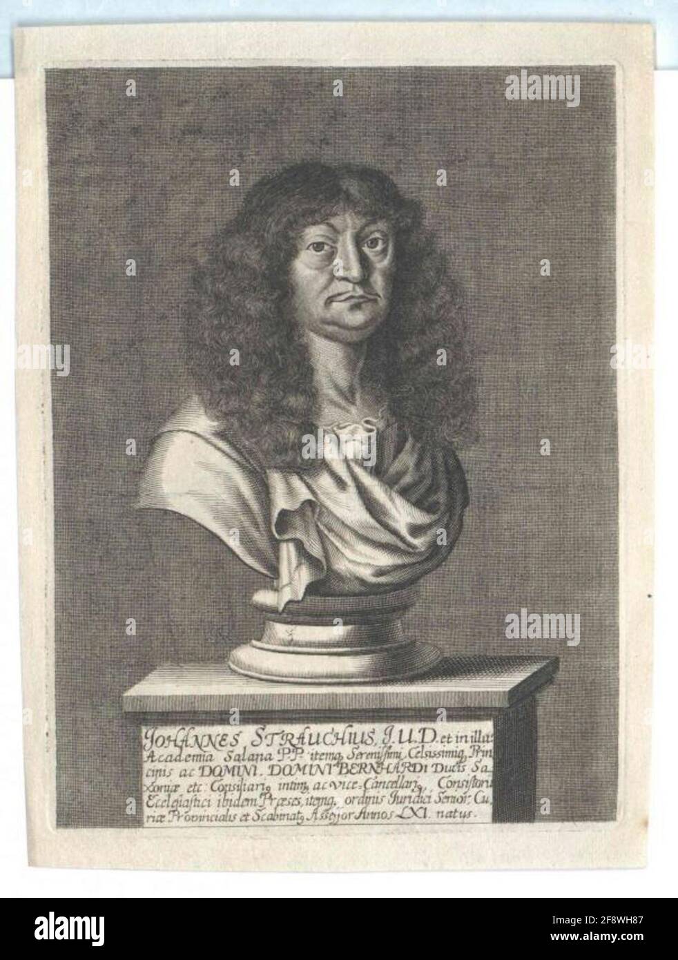 Arbuste, Johann. Banque D'Images