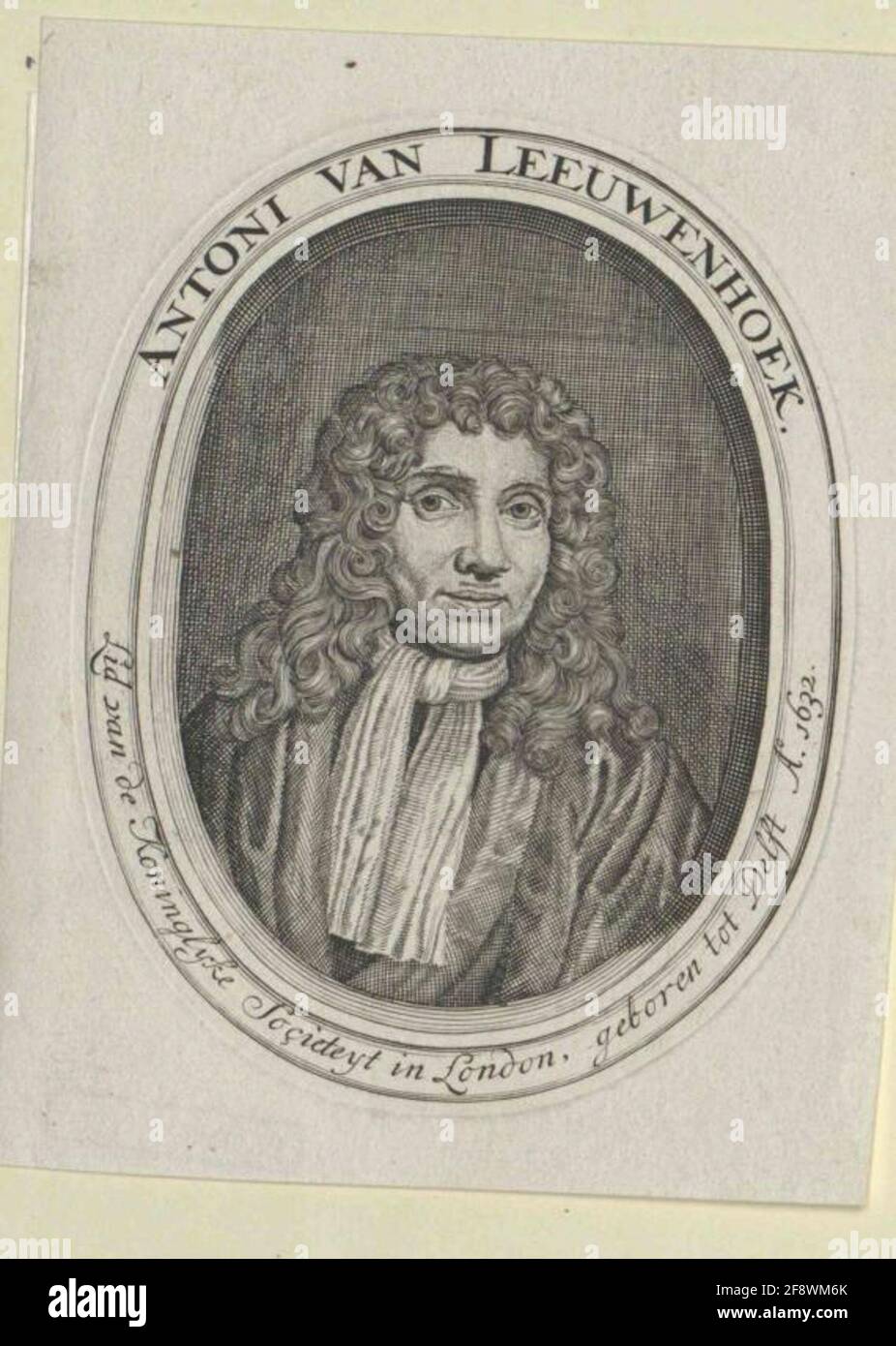 Leeuwenhoeck, Antony van. Banque D'Images