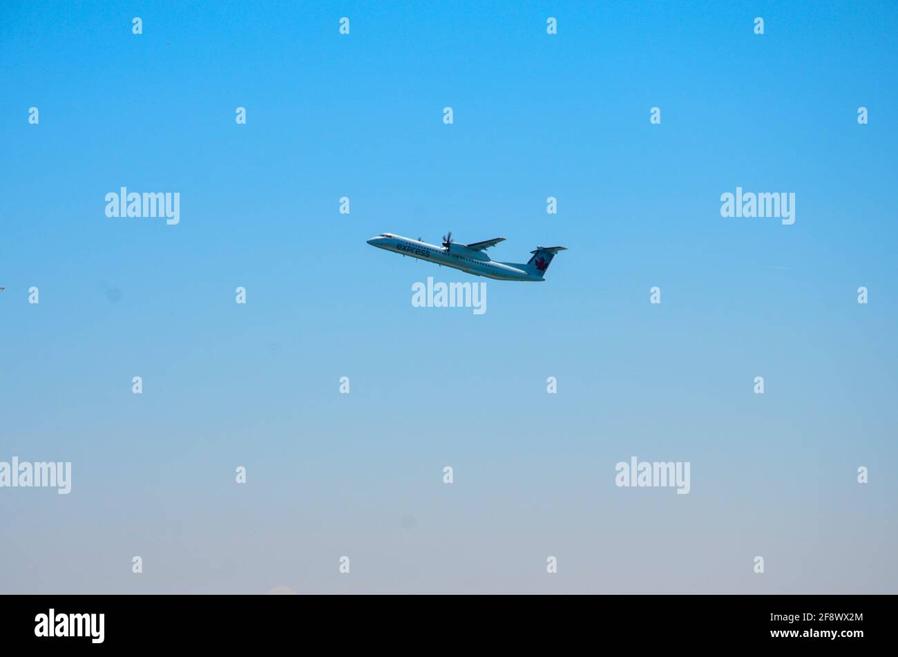 Petit avion qui part de l'aéroport de l'île de Toronto par temps ensoleillé Banque D'Images