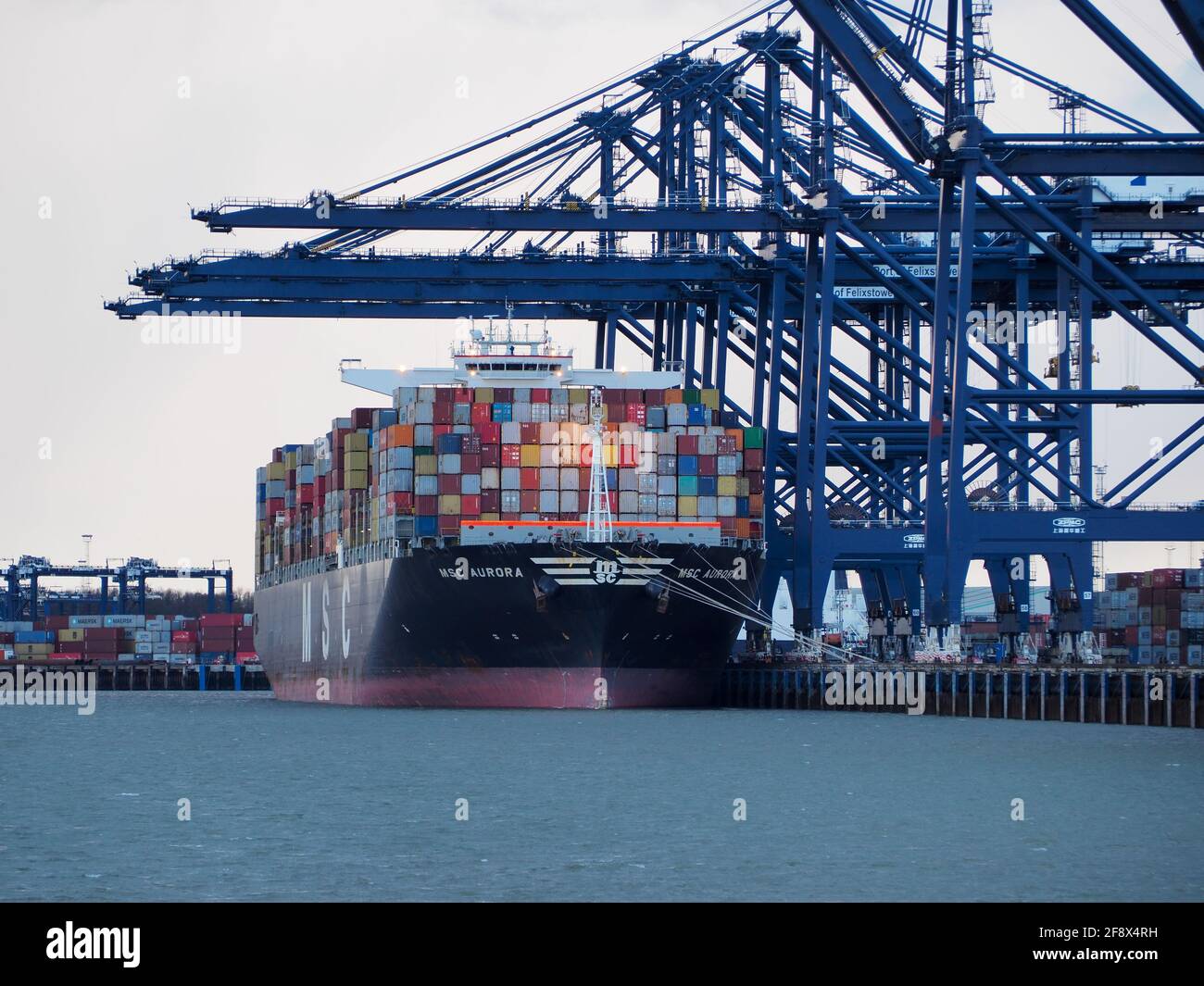 Port de Felixstowe, grues chargeant des conteneurs sur le navire-conteneur MSC Aurora Banque D'Images