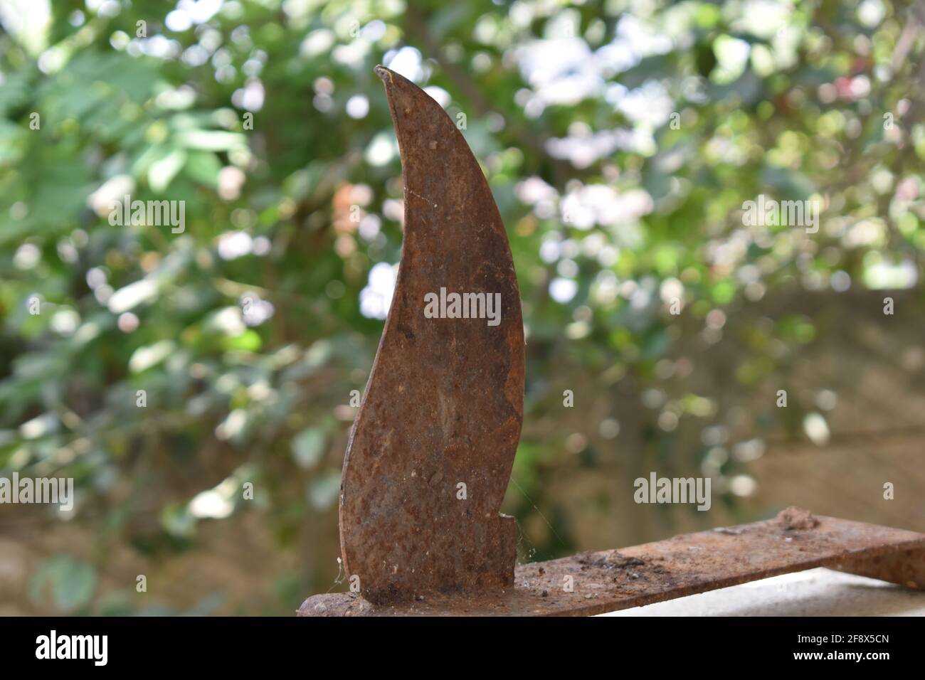 Vue en gros plan de l'ancienne arme. Image à mise au point sélective. Banque D'Images