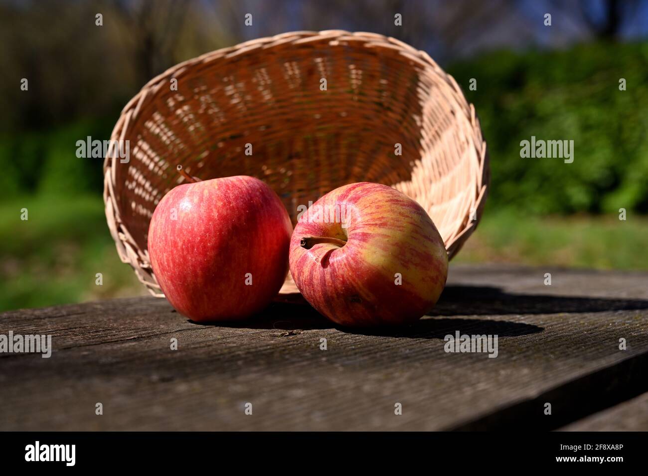 deux pommes et un panier sur une table en bois Banque D'Images