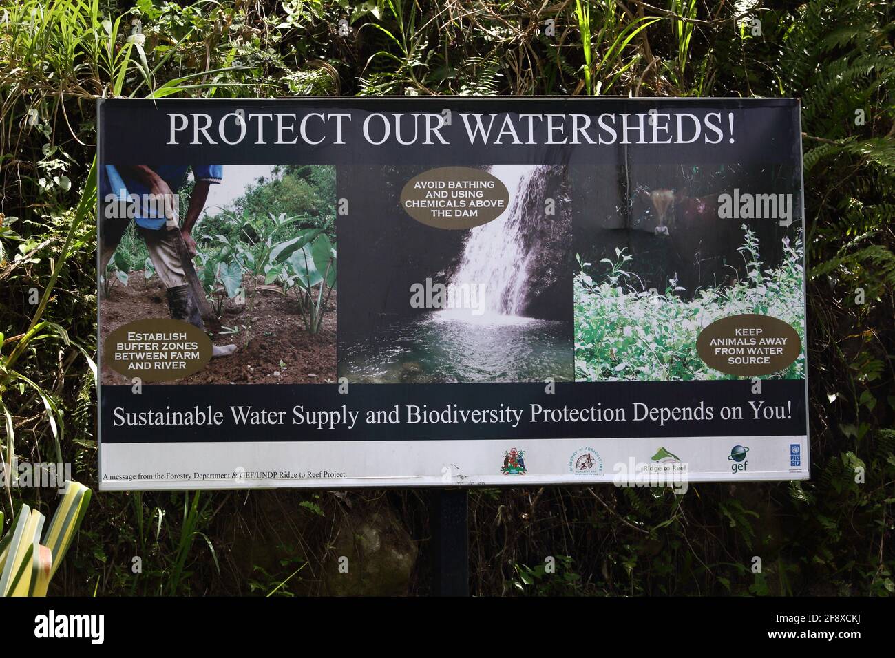 Panneaux publicitaires de la Grenade protéger nos bassins hydrographiques approvisionnement en eau durable protection de la biodiversité Près du domaine de Dougaldston Banque D'Images