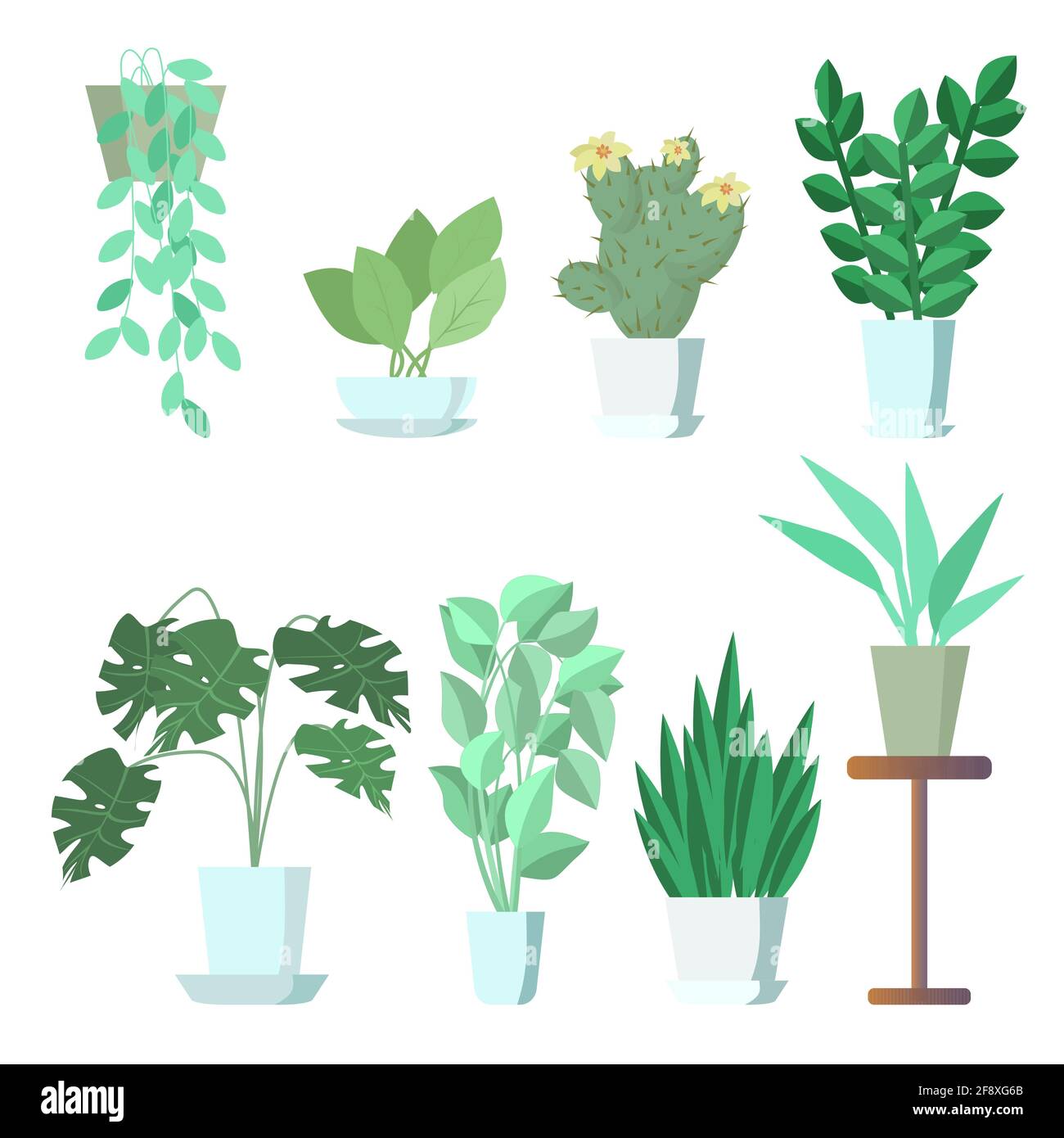 Ensemble de plantes en pot. Collection de fleurs intérieures pour le bureau ou la décoration. Illustration vectorielle de style plat. Isolé sur un fond blanc. Illustration de Vecteur