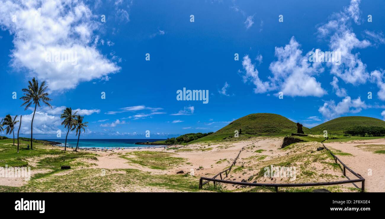 Palmiers sur la plage, Moai debout, Plage d'Anakena, Île de Pâques, Chili Banque D'Images