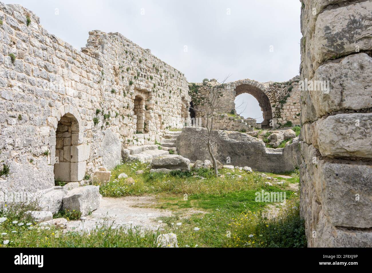 La citadelle de Smar Jbeil, ancien château de Crusader en ruine, Liban Banque D'Images