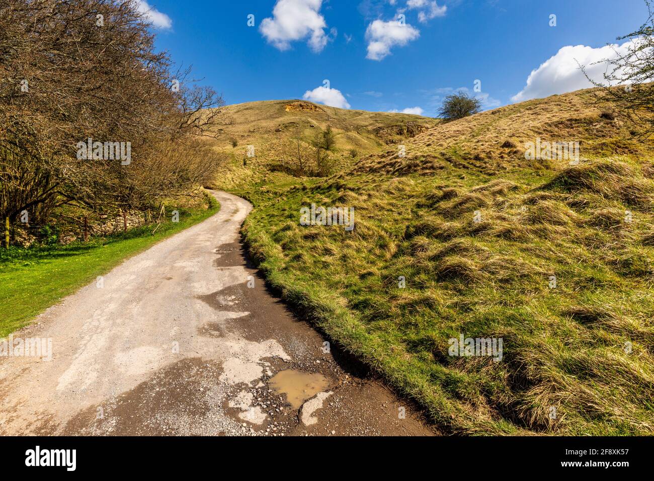 L'ancienne route de carrière au-dessous de l'escarpement de Cleeve Hill près de Cheltenham, Gloucestershire, Angleterre Banque D'Images
