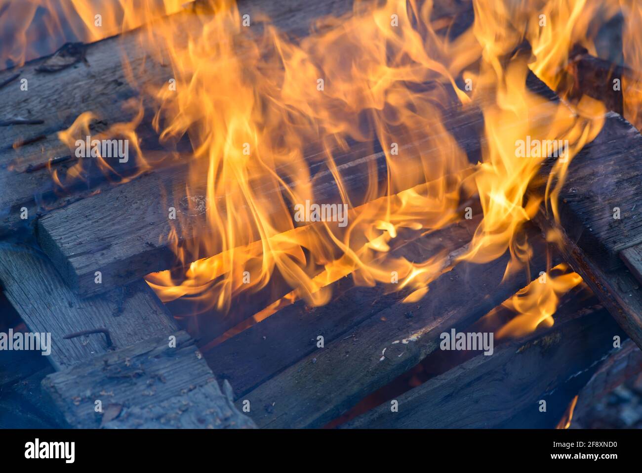 Flammes. Bois de combustion et de grumes. La flamme vive du feu. Matériaux combustibles convertis en charbon, en fumée et en cendres par la chaleur. Banque D'Images