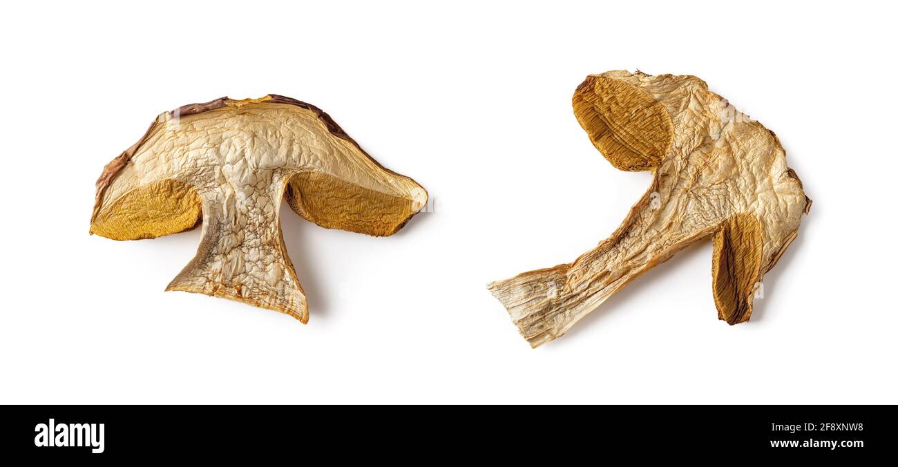 Deux tranches de porcini sec isolées sur fond blanc. Champignon forestier comestible à saveur de champignon intense. Morceaux de boletus edulis de capuchon brun séché. Banque D'Images