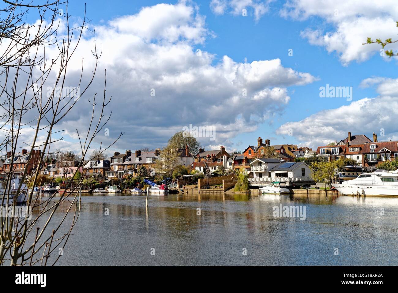 Lower Sunbury vue depuis le côté Walton de la rivière Thames sur un jour ensoleillé de printemps Surrey Angleterre Royaume-Uni Banque D'Images
