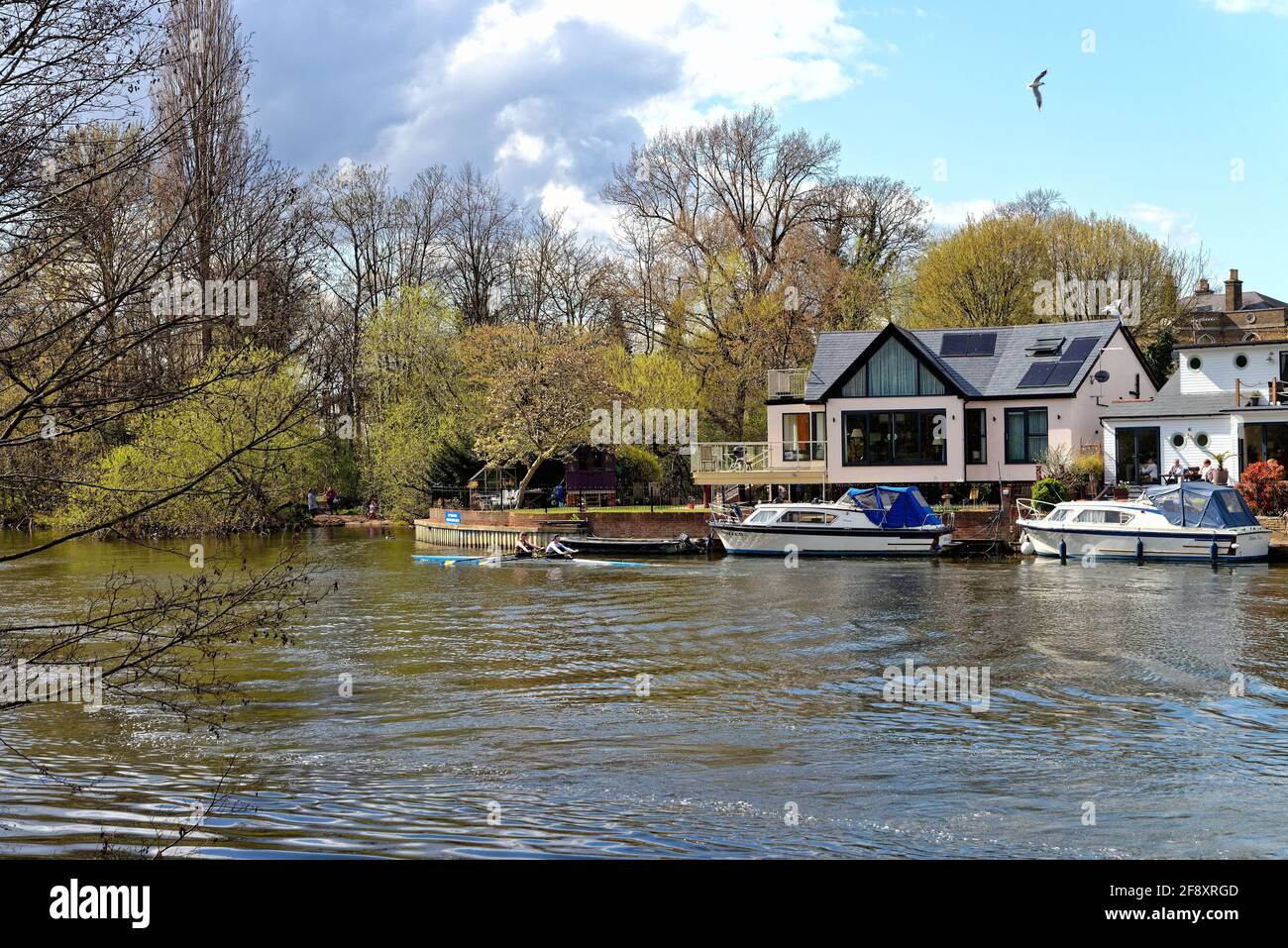Sunbury court Island vue du côté Walton de la La Tamise à l'occasion d'une journée de printemps ensoleillée Surrey Angleterre Royaume-Uni Banque D'Images