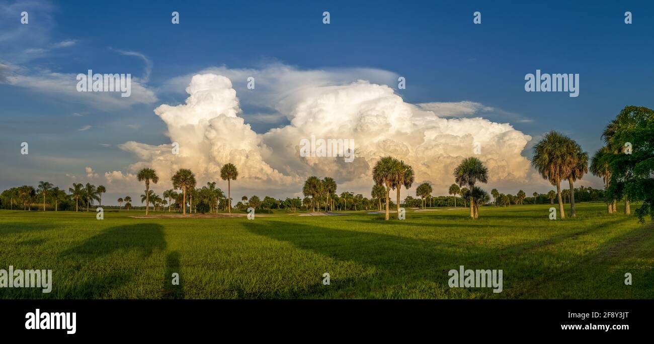 Grands nuages de tempête, Venise, Floride, États-Unis Banque D'Images