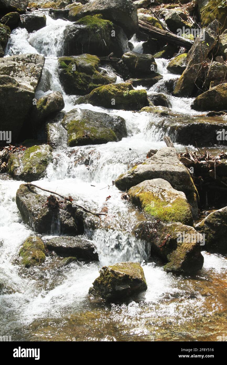 Belle eau de ruisseau frais en cascade sur des rochers. Section des chutes de Crabtree, en Virginie, l'une des plus hautes chutes d'eau de l'est des États-Unis Banque D'Images