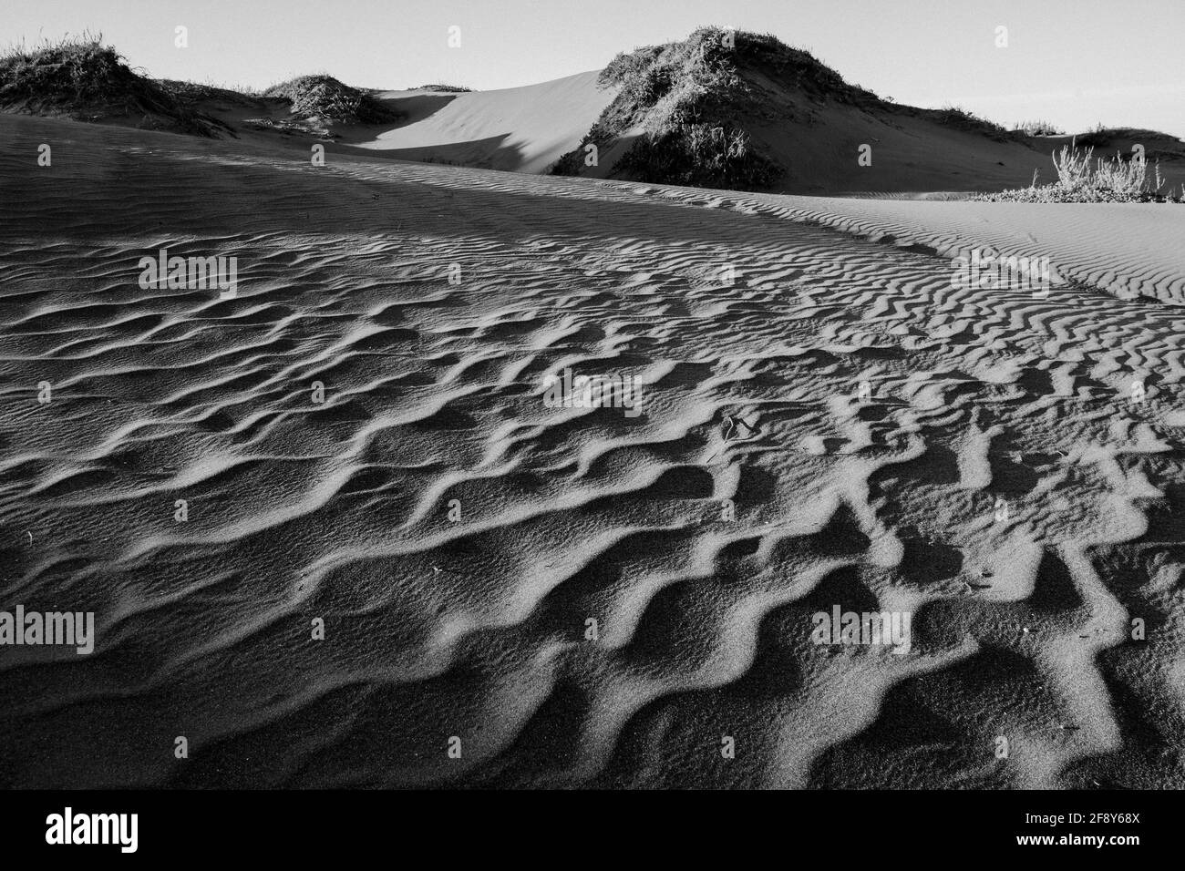 Plage de sable, fort Bragg, Californie, États-Unis Banque D'Images