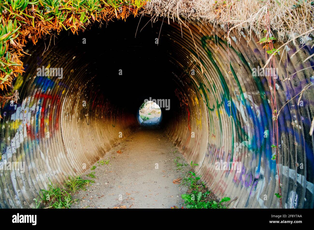 Graffiti Covered drain Pipe Walk Way, fort Bragg, Californie, États-Unis Banque D'Images